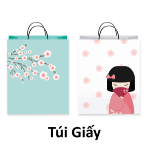 TÚI GIẤY